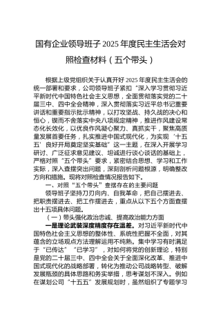 国有企业领导班子2025年度民主生活会对照检查材料（五个带头）