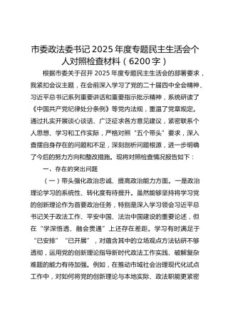 市委政法委书记2025年度专题民主生活会个人对照检查材料（6200字）