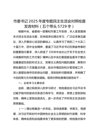 市委书记2025年度专题民主生活会对照检查发言材料（五个带头5729字）