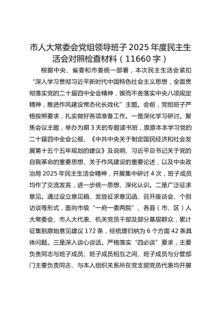 市人大常委会党组领导班子2025年度民主生活会对照检查材料（11660字）