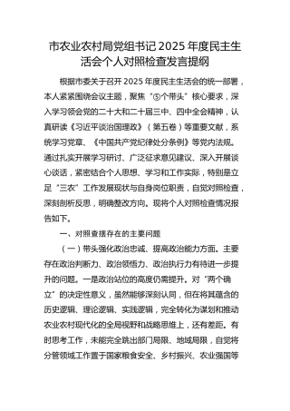 市农业农村局党组书记2025年度民主生活会个人对照检查