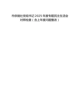 市供销社党组书记2025年度专题民主生活会对照检查（含上年度问题整改）