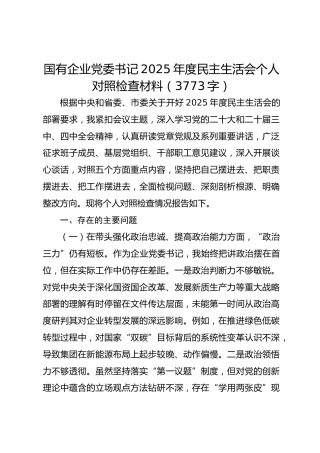 国有企业党委书记2025年度民主生活会个人对照检查材料（3773字）