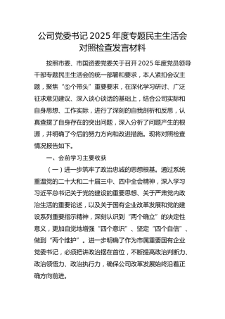 国企党委书记2025年度民主生活会对照检查（含上年度问题整改）