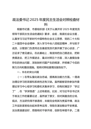 政法委书记2025年度民主生活会对照检查材料
