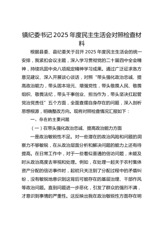 镇纪委书记2025年度民主生活会对照检查材料