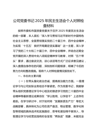 公司书记2025年民主生活会个人对照检查材料