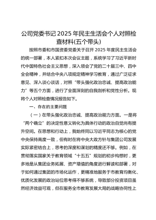 2025年民主生活会公司党委书记个人对照检查材料(五个带头)