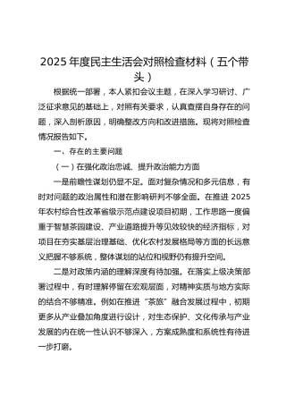 2025年度民主生活会对照检查材料（五个带头）