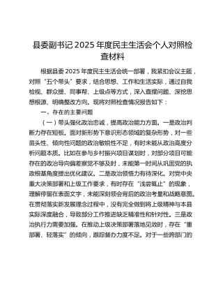 县委副书记2025年度民主生活会个人对照检查材料（五个带头）（2）
