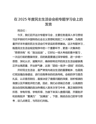 在2025年度民主生活会会前专题学习会上的发言