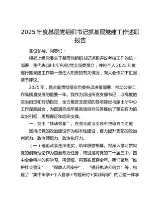 2025年度基层党组织书记抓基层党建工作述职报告（2）
