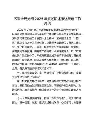 区审计局党组2025年度述职述廉述党建工作总结