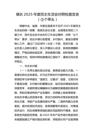 镇长2025年度民主生活会对照检查（乡镇）