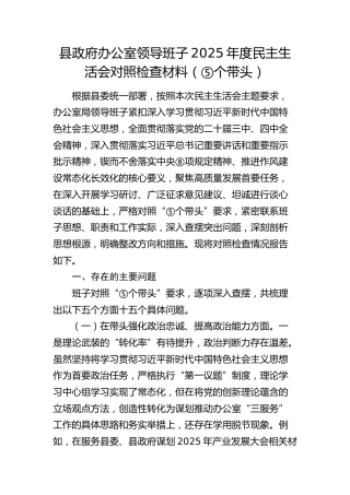 县政府办公室领导班子2025年度民主生活会对照检查
