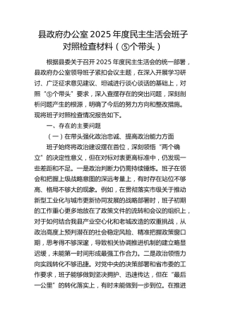 县政府办公室2025年度民主生活会班子对照检查