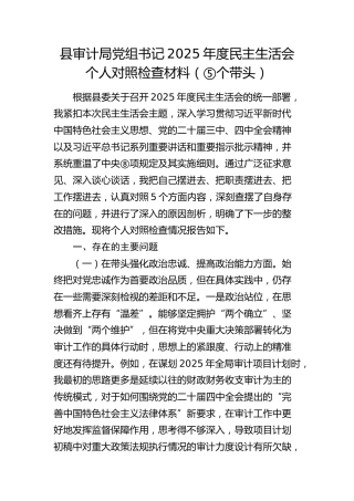 县审计局党组书记2025年度民主生活会个人对照检查