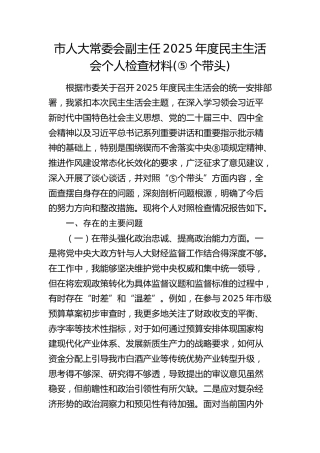 市人大常委会副主任2025年度民主生活会个人检查