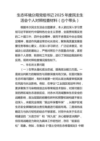 生态环境分局党组书记2025年度民主生活会个人对照检查