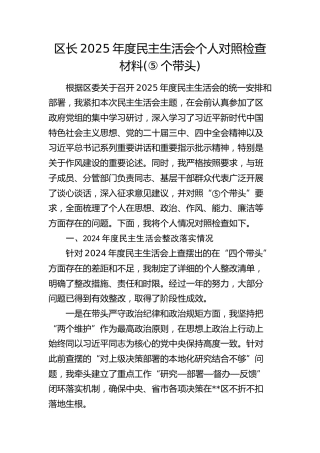 区长2025年度民主生活会个人对照检查(含上年度问题整改落实情况)