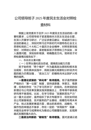 公司领导班子2025年度民主生活会对照检查材料