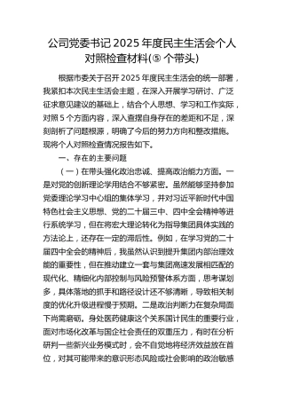 公司党委书记2025年度民主生活会个人对照检查材料(1)