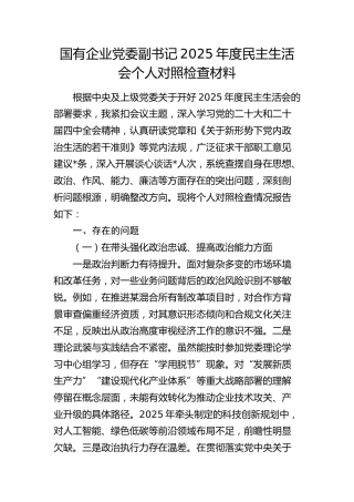 公司党委副书记2025年度民主生活会个人对照检查材料