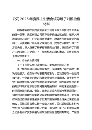 公司2025年度民主生活会领导班子对照检查材料 (2)