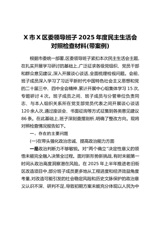X市X区委领导班子2025年度民主生活会对照检查材料（带案例）