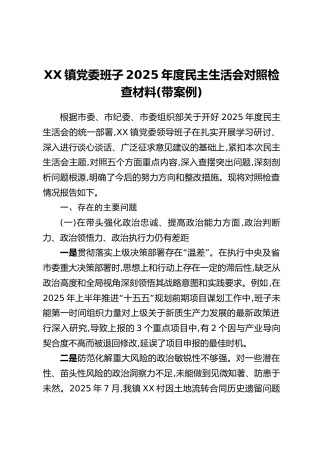XX镇党委班子2025年度民主生活会对照检查材料（带案例）