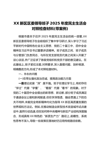 XX新区区委领导班子2025年度民主生活会对照检查材料（带案例）