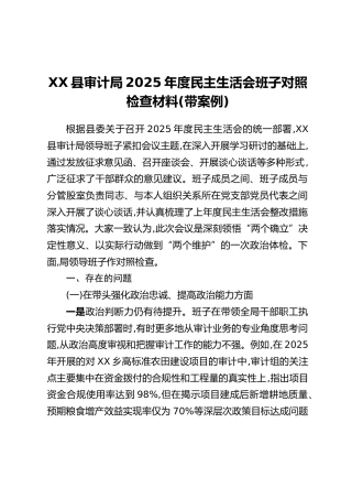 XX县审计局2025年度民主生活会班子对照检查材料（带案例）