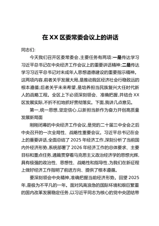 在XX区委常委会议上的讲话（3）