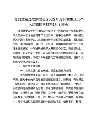 县自然资源局副局长2025年度民主生活会个人对照检查材料(五个带头)