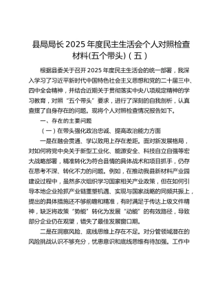 县局局长2025年度民主生活会个人对照检查材料(五个带头)（五）