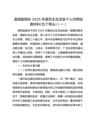 县局副局长2025年度民主生活会个人对照检查材料(五个带头)（一）