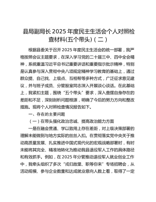县局副局长2025年度民主生活会个人对照检查材料(五个带头)（二）