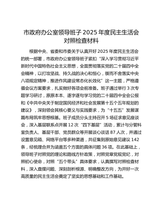 市政府办公室领导班子2025年度民主生活会对照检查材料（贯彻落实中央八项规定精神情况总结+五个带头+典型案例剖析与反思）