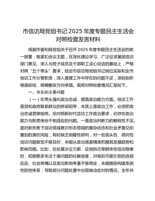 市信访局党组书记2025年度专题民主生活会对照检查发言材料（五个带头）