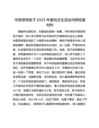市局领导班子2025年度民主生活会对照检查材料（贯彻落实中央八项规定精神情况总结+五个带头+典型案例剖析）