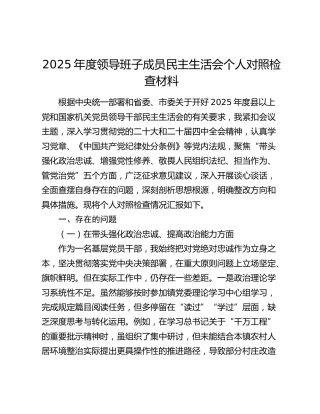 2025年度领导班子成员民主生活会个人对照检查材料（五个带头）