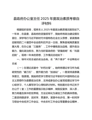 县政府办公室主任2025年度政治素质考察自评材料
