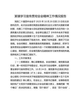 某镇学习宣传贯彻四中全会精神工作情况报告