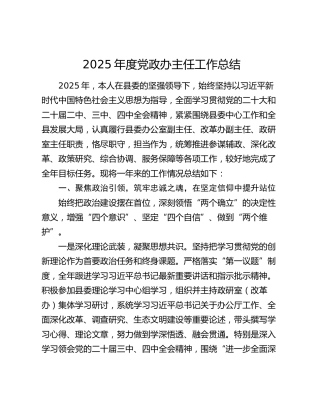 2025年度党政办主任工作总结