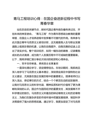 青马工程培训心得：在国企奋进新征程中书写青春华章