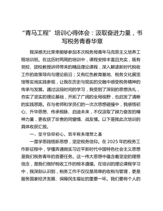 “青马工程”培训心得体会：汲取奋进力量，书写税务青春华章