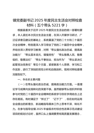 镇党委副书记2025年度民主生活会对照检查材料（五个带头 5221字）