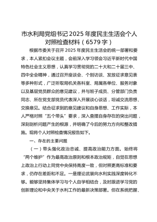 市水利局党组书记2025年度民主生活会个人对照检查材料（6579字）