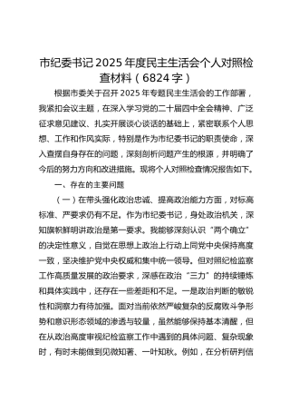 市纪委书记2025年度民主生活会个人对照检查材料（6824字）