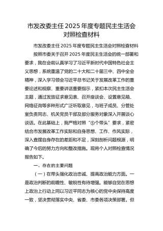 发改委主任2025年度专题民主生活会对照检查材料